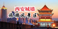 黑人大鸡巴插插插视频免费中国陕西-西安城墙旅游风景区